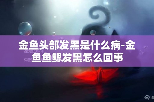 金魚頭部發黑是什么病-金魚魚鰓發黑怎么回事