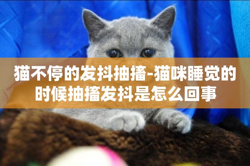 貓不停的發抖抽搐-貓咪睡覺的時候抽搐發抖是怎么回事