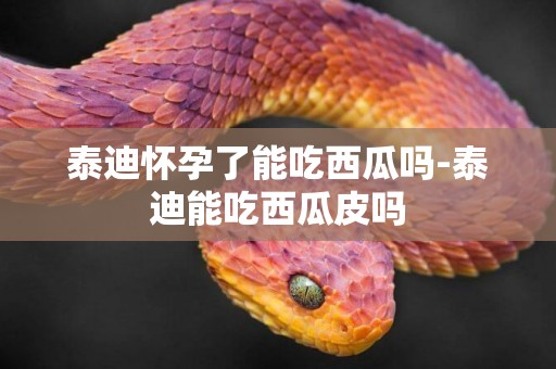 泰迪懷孕了能吃西瓜嗎-泰迪能吃西瓜皮嗎