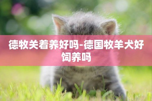 德牧關著養好嗎-德國牧羊犬好飼養嗎