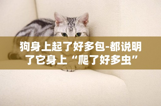 狗身上起了好多包-都說明了它身上“爬了好多蟲”