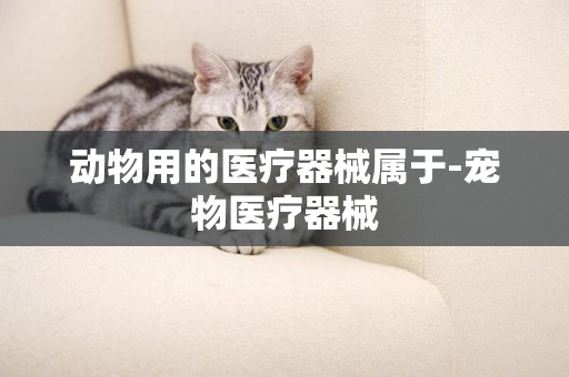 動物用的醫療器械屬于-寵物醫療器械