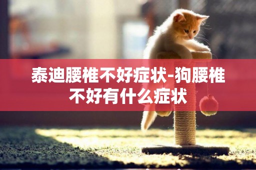 泰迪腰椎不好癥狀-狗腰椎不好有什么癥狀
