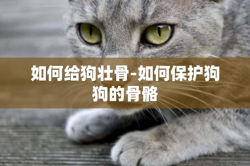如何給狗壯骨-如何保護狗狗的骨骼