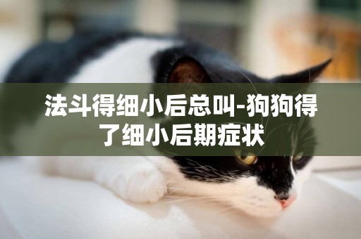 法斗得細小后總叫-狗狗得了細小后期癥狀