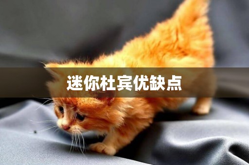迷你杜賓優缺點
