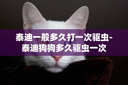 泰迪一般多久打一次驅蟲-泰迪狗狗多久驅蟲一次