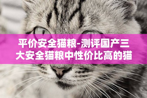 平價安全貓糧-測評國產三大安全貓糧中性價比高的貓糧是什么