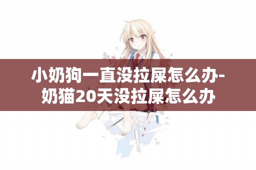 小奶狗一直沒拉屎怎么辦-奶貓20天沒拉屎怎么辦