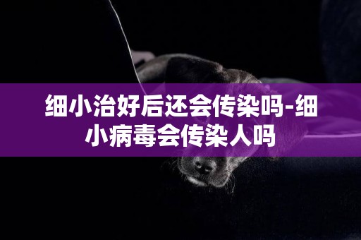 細小治好后還會傳染嗎-細小病毒會傳染人嗎