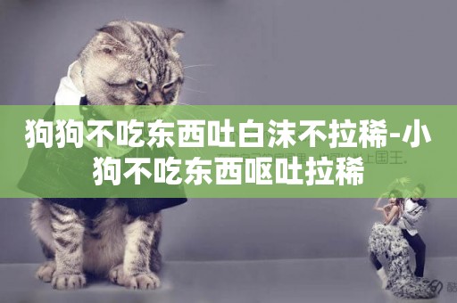 狗狗不吃東西吐白沫不拉稀-小狗不吃東西嘔吐拉稀