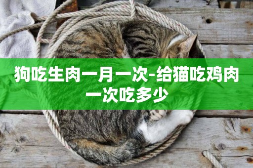 狗吃生肉一月一次-給貓吃雞肉一次吃多少