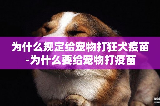 為什么規定給寵物打狂犬疫苗-為什么要給寵物打疫苗