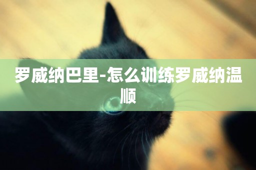 羅威納巴里-怎么訓練羅威納溫順
