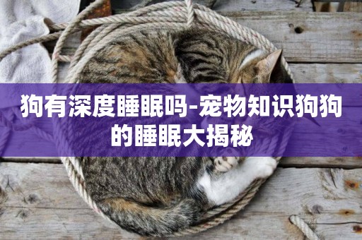 狗有深度睡眠嗎-寵物知識狗狗的睡眠大揭秘