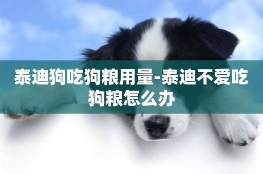 泰迪狗吃狗糧用量-泰迪不愛吃狗糧怎么辦