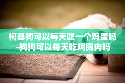 柯基狗可以每天吃一個雞蛋嗎-狗狗可以每天吃雞胸肉嗎