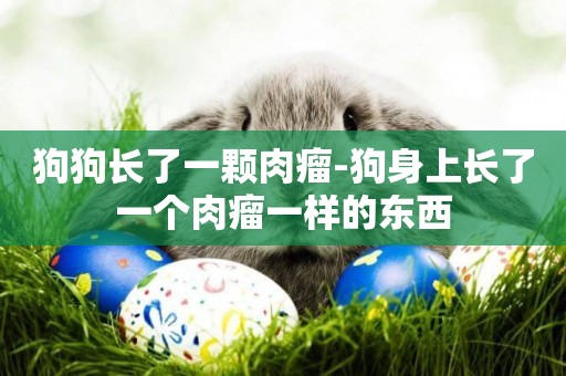 狗狗長了一顆肉瘤-狗身上長了一個肉瘤一樣的東西