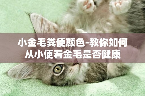 小金毛糞便顏色-教你如何從小便看金毛是否健康