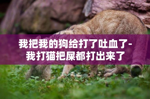 我把我的狗給打了吐血了-我打貓把屎都打出來了