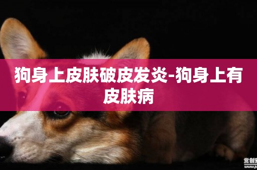 狗身上皮膚破皮發炎-狗身上有皮膚病