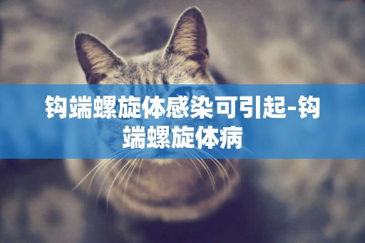 鉤端螺旋體感染可引起-鉤端螺旋體病