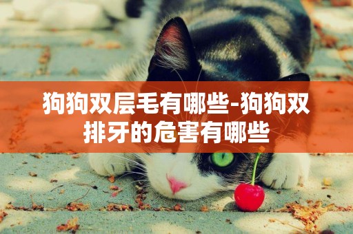 狗狗雙層毛有哪些-狗狗雙排牙的危害有哪些