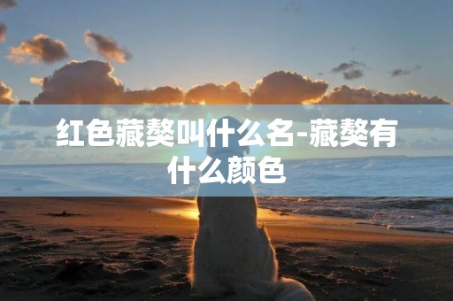 紅色藏獒叫什么名-藏獒有什么顏色