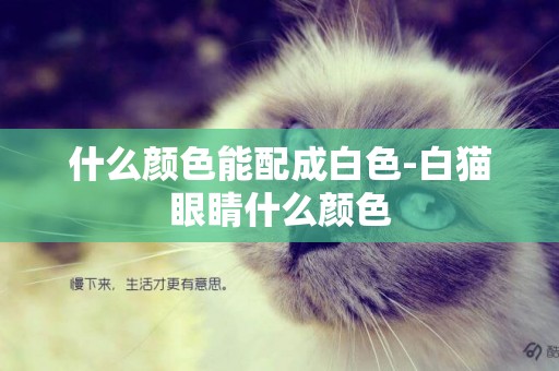 什么顏色能配成白色-白貓眼睛什么顏色