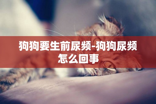 狗狗要生前尿頻-狗狗尿頻怎么回事