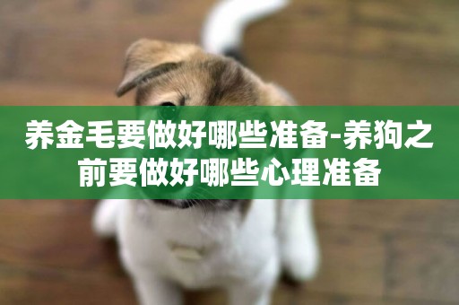 養金毛要做好哪些準備-養狗之前要做好哪些心理準備