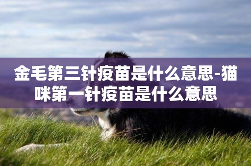 金毛第三針疫苗是什么意思-貓咪第一針疫苗是什么意思