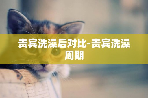 貴賓洗澡后對比-貴賓洗澡周期