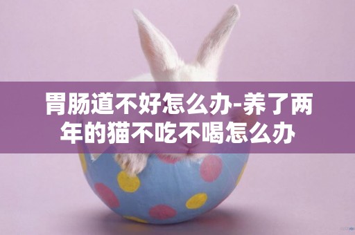胃腸道不好怎么辦-養了兩年的貓不吃不喝怎么辦