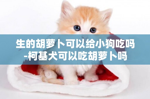 生的胡蘿卜可以給小狗吃嗎-柯基犬可以吃胡蘿卜嗎