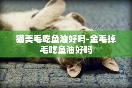 貓美毛吃魚油好嗎-金毛掉毛吃魚油好嗎