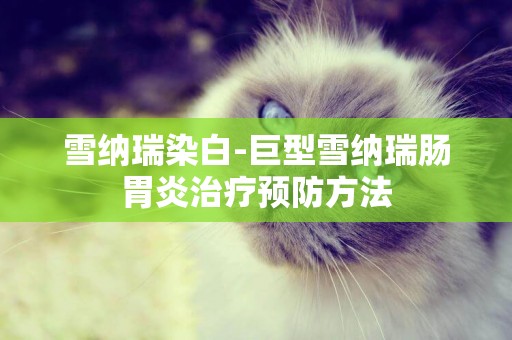 雪納瑞染白-巨型雪納瑞腸胃炎治療預防方法