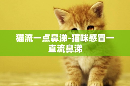 貓流一點鼻涕-貓咪感冒一直流鼻涕