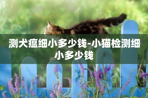 測犬瘟細小多少錢-小貓檢測細小多少錢