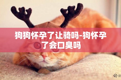 狗狗懷孕了讓騎嗎-狗懷孕了會口臭嗎