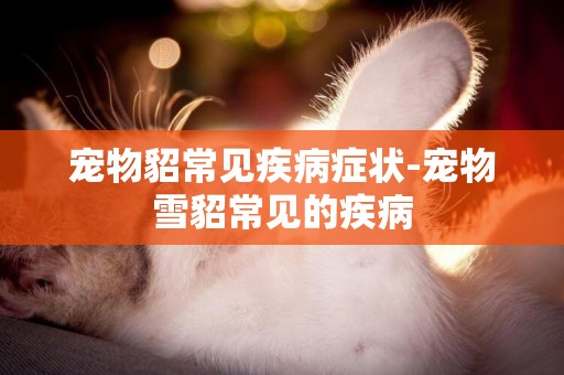 寵物貂常見疾病癥狀-寵物雪貂常見的疾病