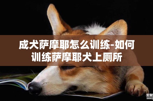 成犬薩摩耶怎么訓練-如何訓練薩摩耶犬上廁所