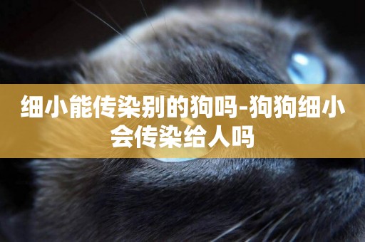 細小能傳染別的狗嗎-狗狗細小會傳染給人嗎