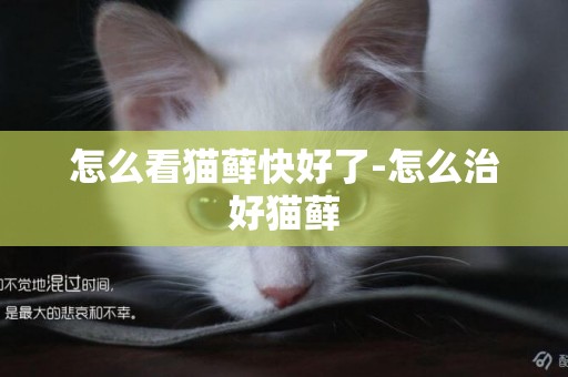 怎么看貓蘚快好了-怎么治好貓蘚