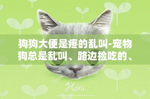 狗狗大便是疼的亂叫-寵物狗總是亂叫、路邊撿吃的、隨地大小便怎么辦