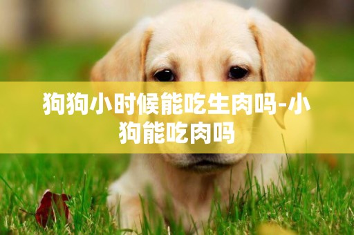 狗狗小時候能吃生肉嗎-小狗能吃肉嗎