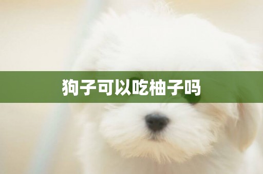 狗子可以吃柚子嗎