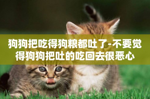 狗狗把吃得狗糧都吐了-不要覺得狗狗把吐的吃回去很惡心