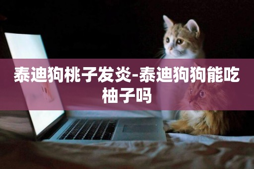 泰迪狗桃子發炎-泰迪狗狗能吃柚子嗎