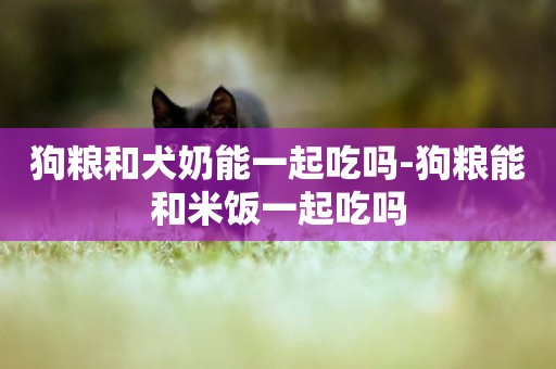 狗糧和犬奶能一起吃嗎-狗糧能和米飯一起吃嗎